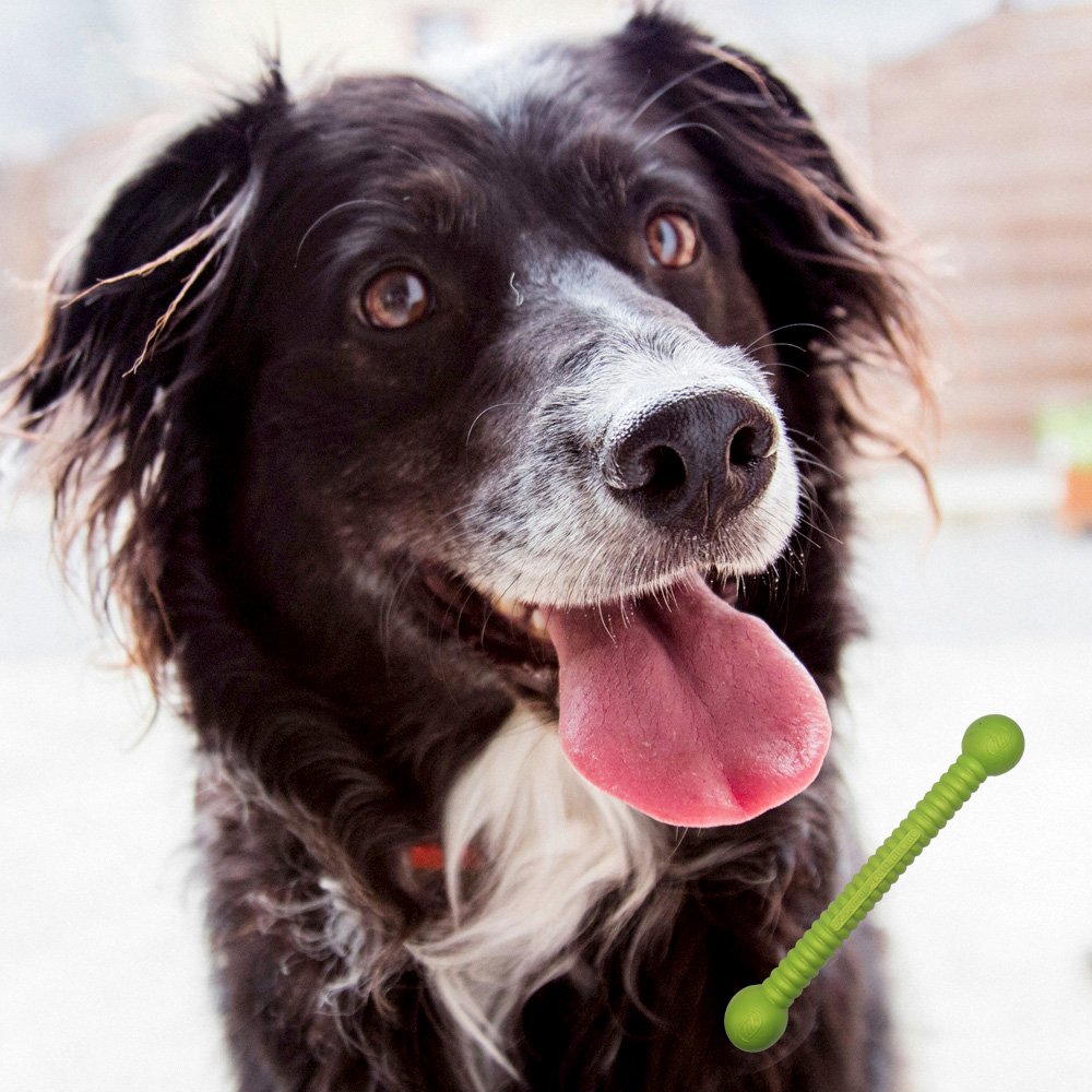 Moby Dog Stick Large - Green