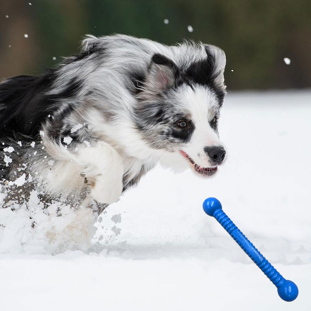 Moby Hundestock Groß - Blau - Limited Edition - L