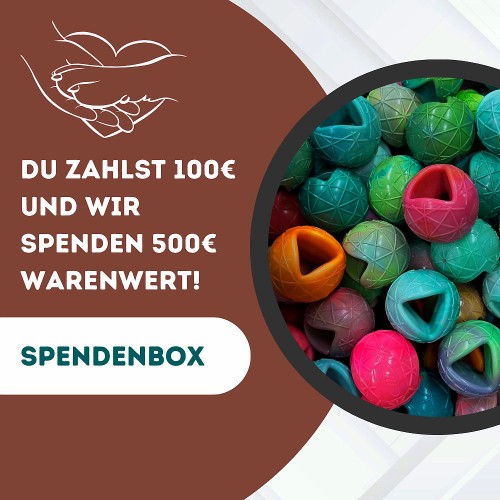 Sie kaufen für 100€ | wir spenden 500€