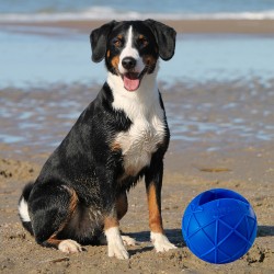 Moby Dog Ball Large - Blue