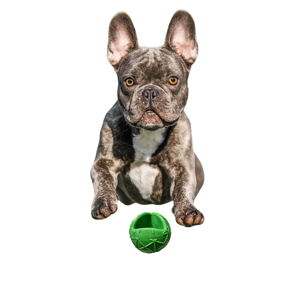 Moby Hundeball Klein - Grün