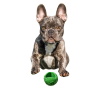 Moby Hundeball Klein - Grün