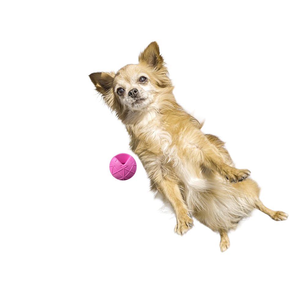 Moby Hundeball Klein - Erika Violett