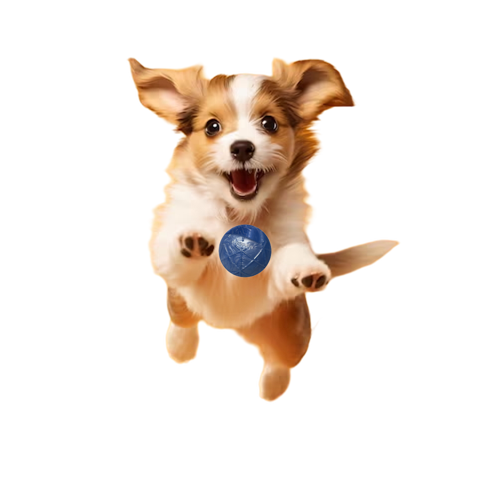 Moby Hundeball Klein - Metallic Blau