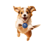 Moby Hundeball Klein - Metallic Blau