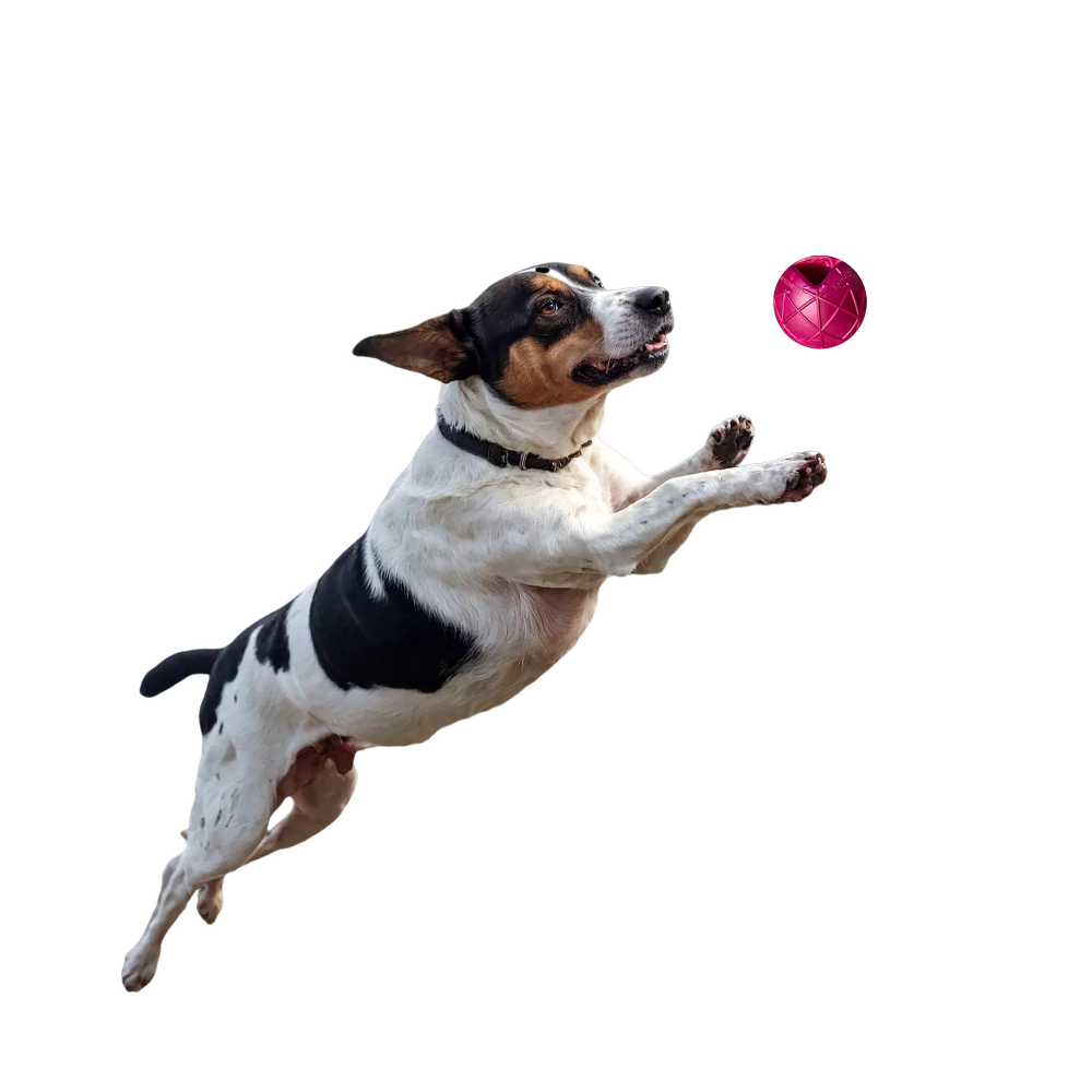 Moby Hundeball Klein - Perl Rosa