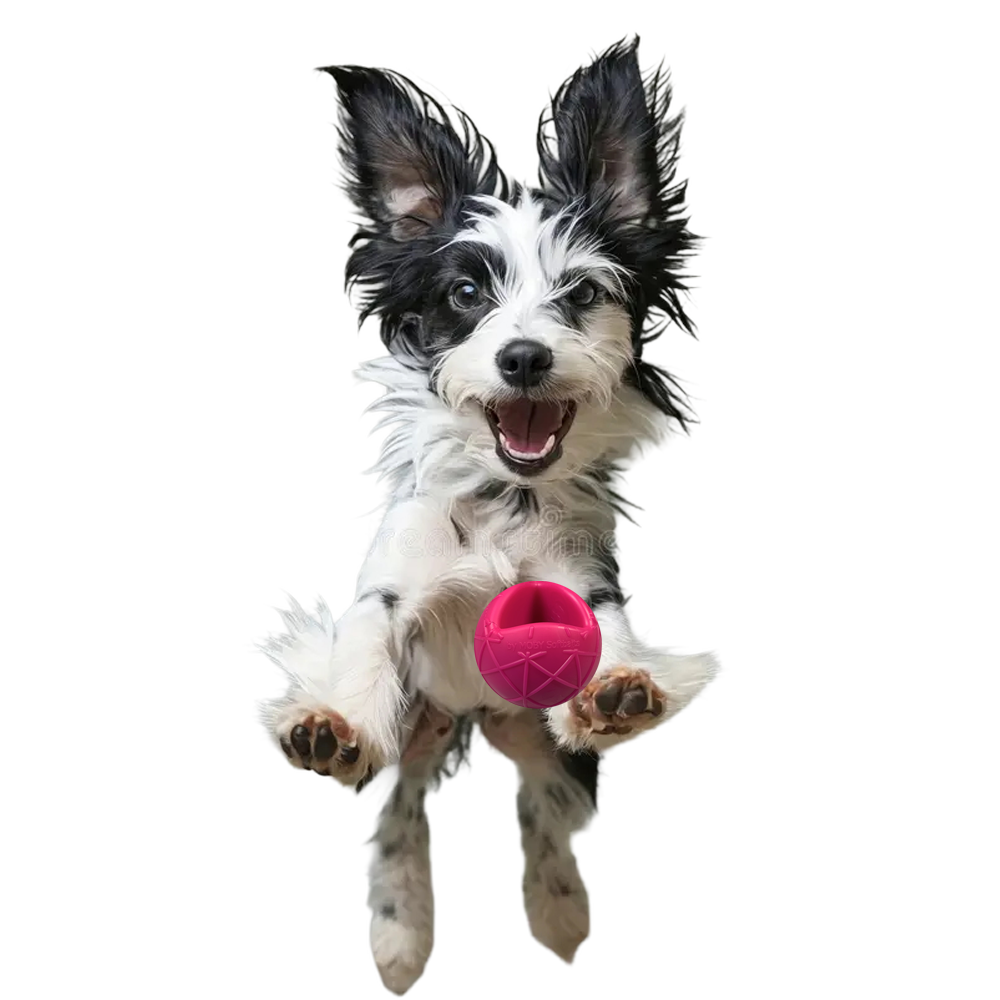 Moby Hundeball Klein - Pink