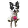 Moby Hundeball Klein - Pink