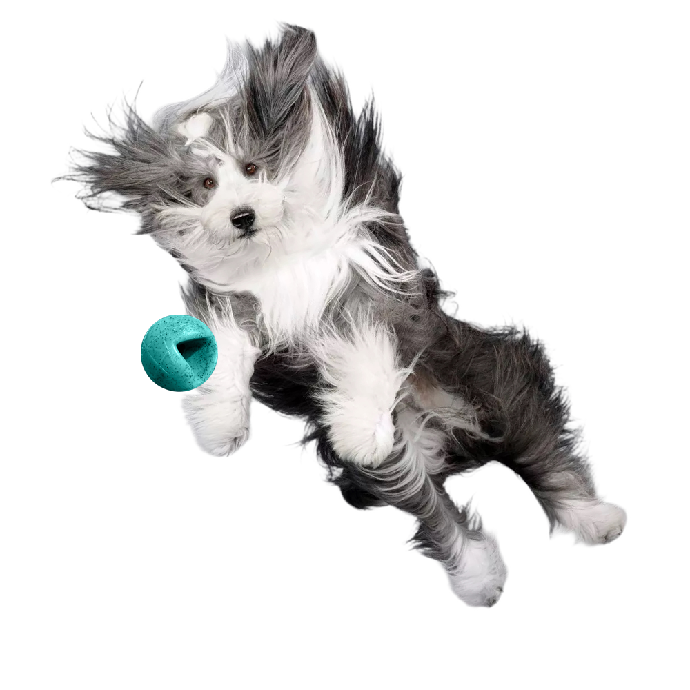 Moby Hundeball Klein - Türkis 