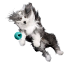 Moby Hundeball Klein - Türkis 