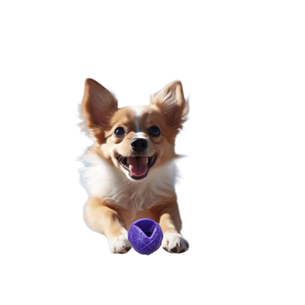 Moby Hundeball Klein - Violett
