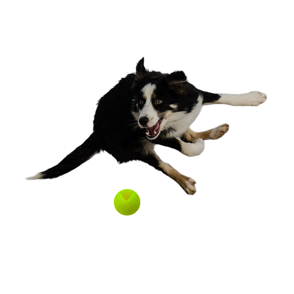 Moby Hundeball Klein - Gelb