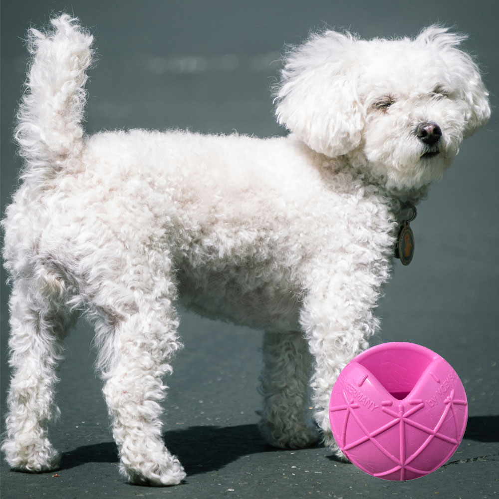 Moby Hundeball Klein - Erika Violett