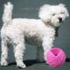 Moby Hundeball Klein - Erika Violett