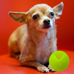 Moby Hundeball Klein - Gelb - S