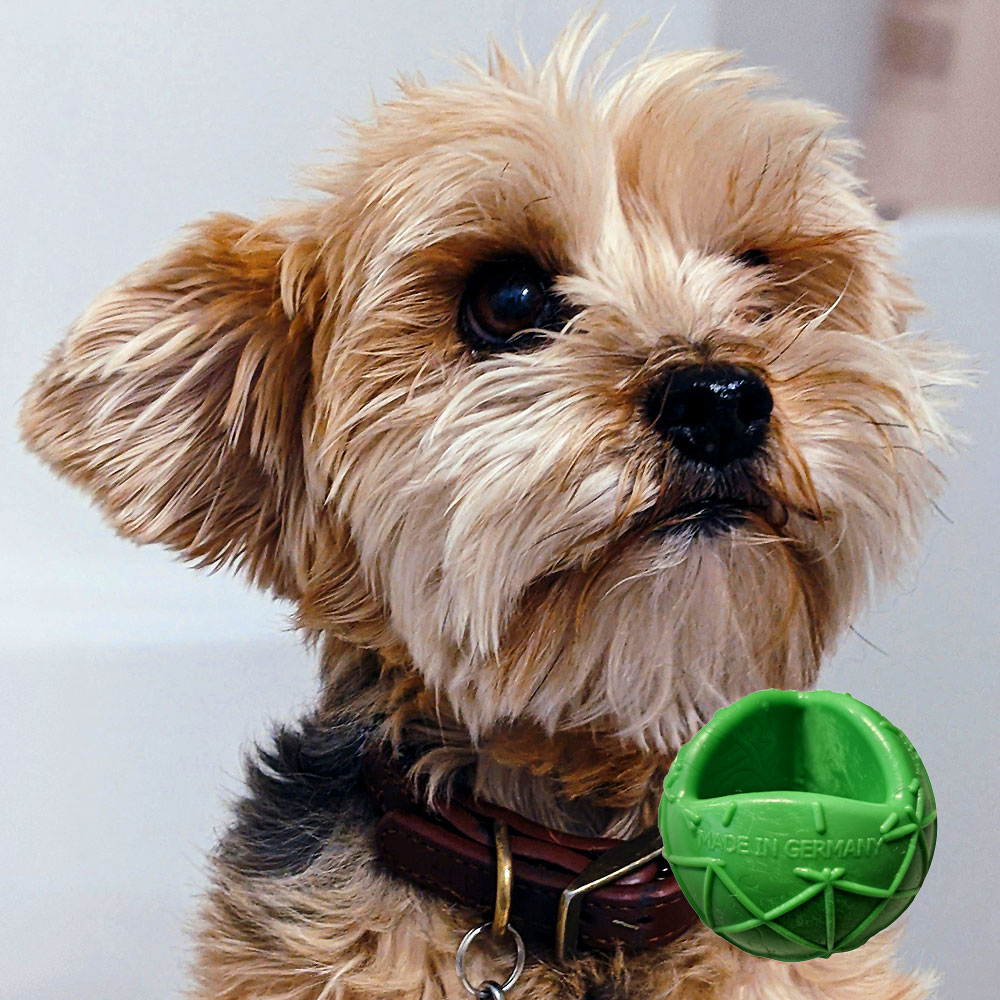 Moby Hundeball Klein - Grün