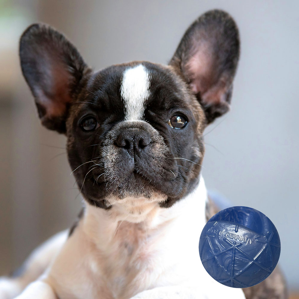 Moby Hundeball Klein - Metallic Blau