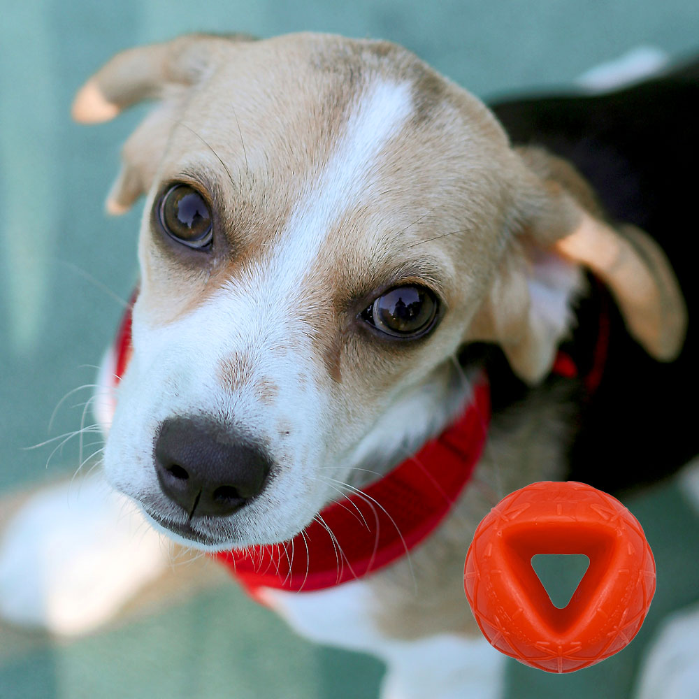 Moby Hundeball Klein - Orange