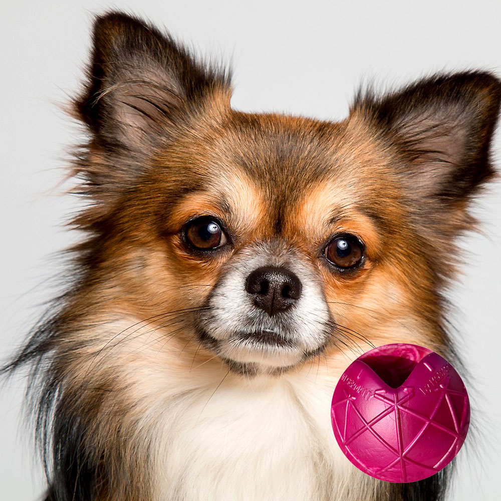 Moby Hundeball Klein - Perl Rosa