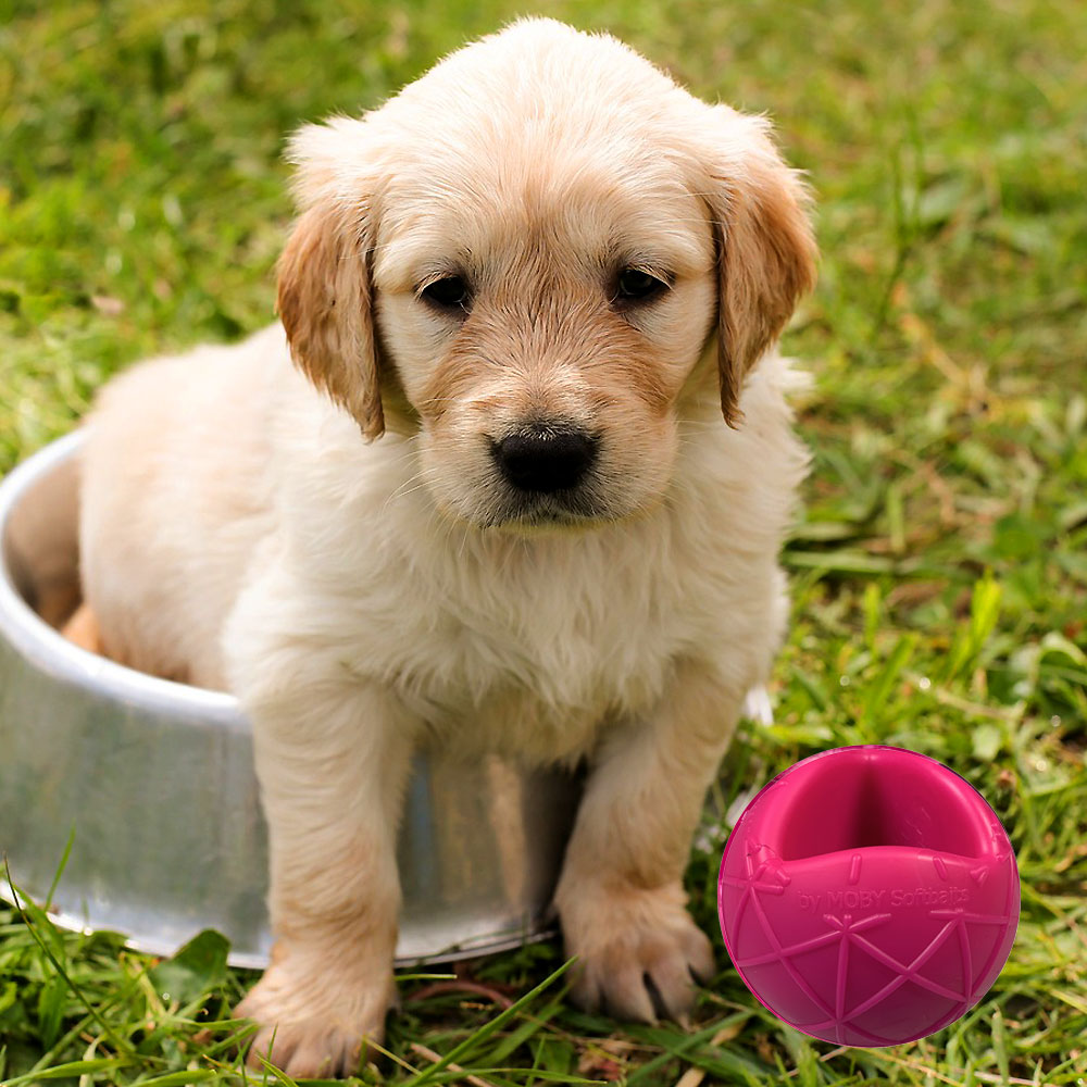 Moby Hundeball Klein - Pink