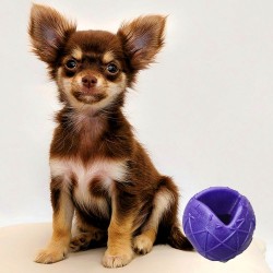 Moby Hundeball Klein - Violett - S