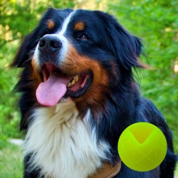 Moby Hundeball XXL - Gelb