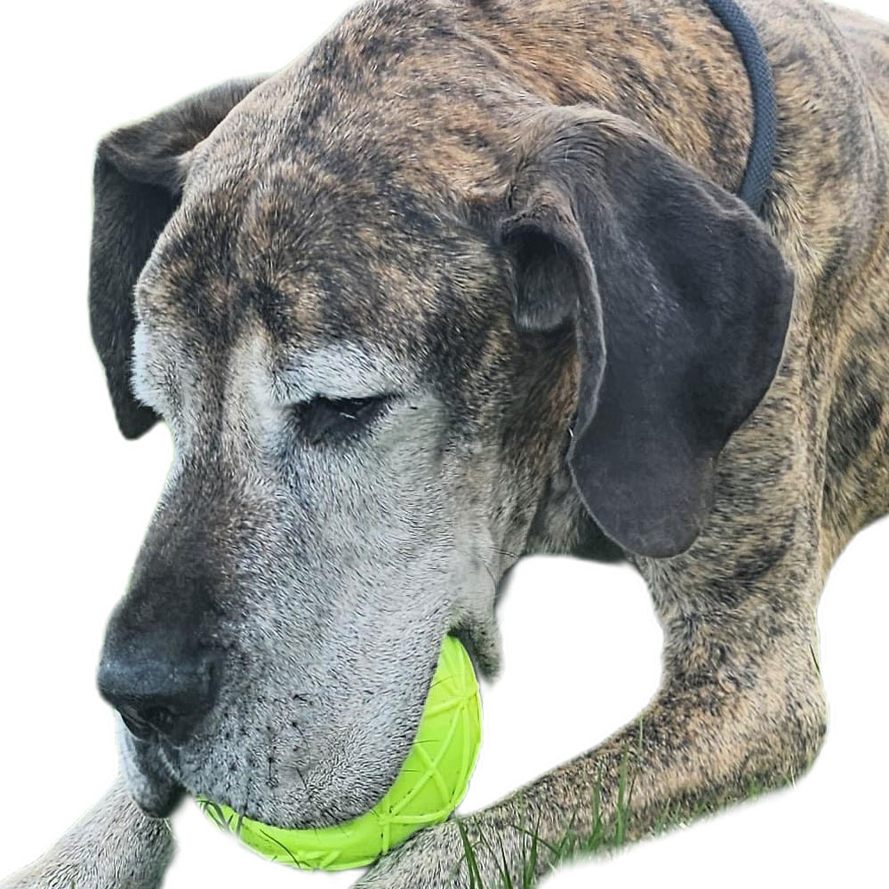 Moby Hundeball XXL - Gelb Moby Hundeball XXL - Gelb