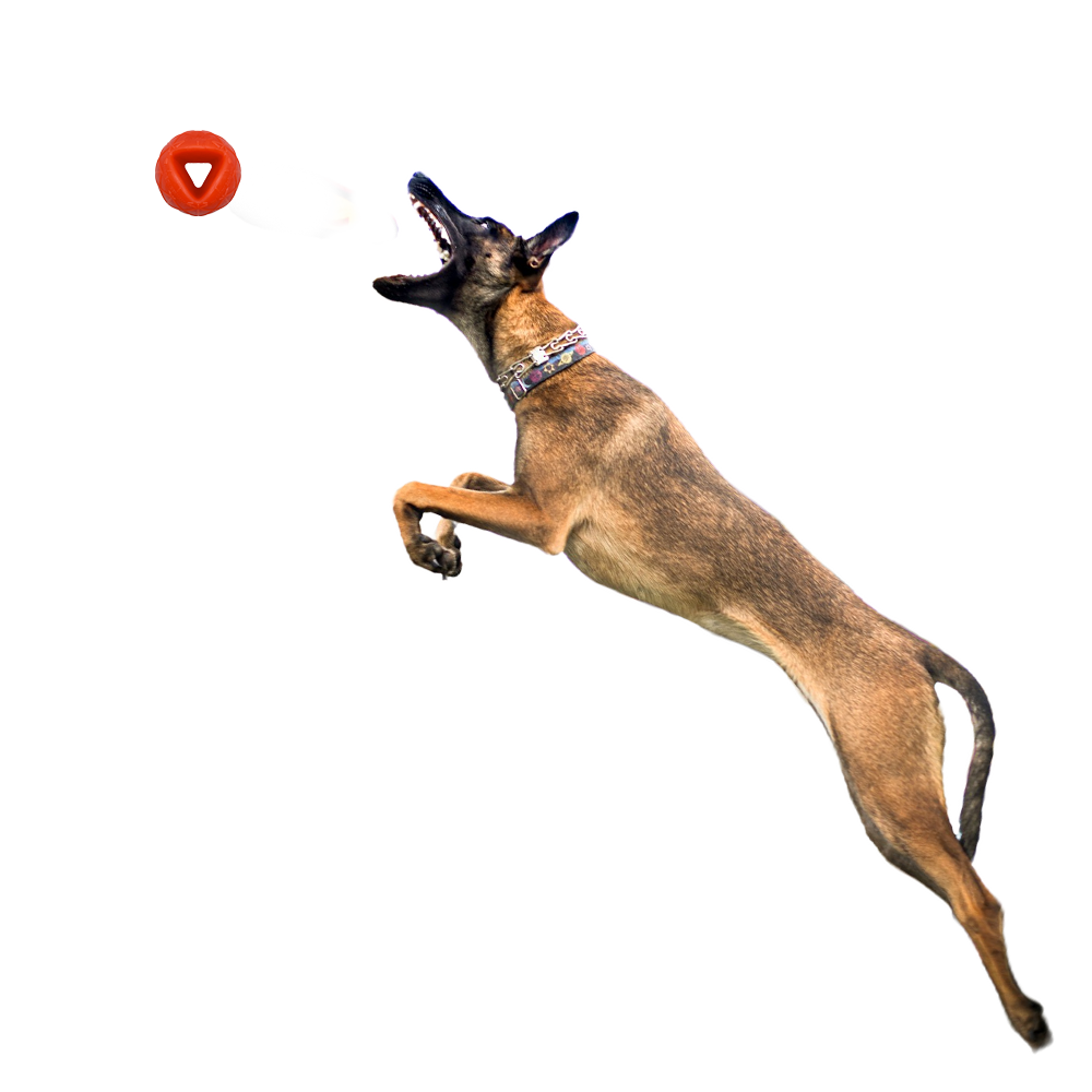 Moby Hundeball XXL - Orange Moby Hundeball XXL - Orange