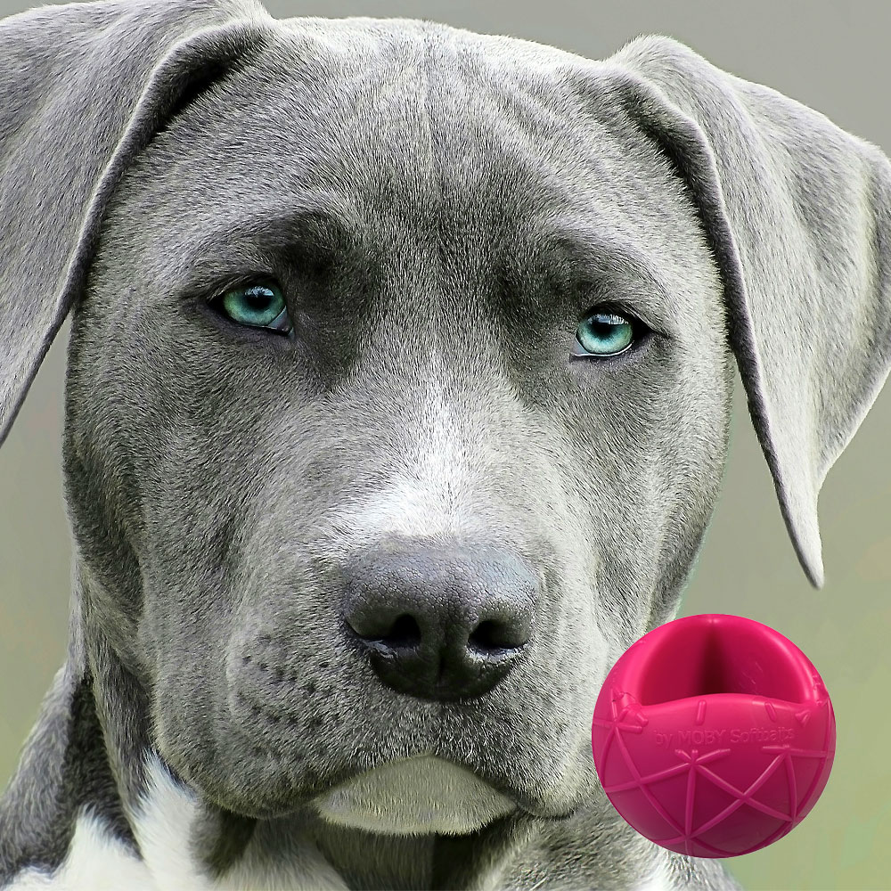 Moby Hundeball XXL - Pink Moby Hundeball XXL - Pink