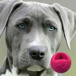 Moby Hundeball XXL - Pink