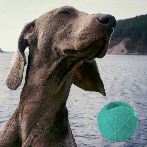 Moby Hundeball XXL - Türkis  Moby Hundeball XXL - Türkis