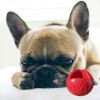Moby Dog Ball Small - Red