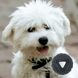 Moby Dog Ball Small - Black - S