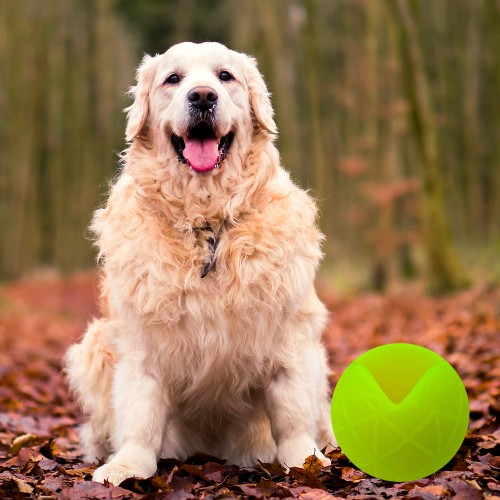 Moby Dog Ball Large - Yellow