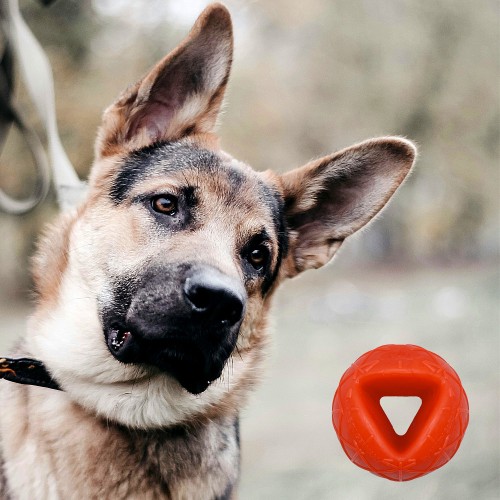 Moby Dog Ball Groß -Orange - Superweich (bitte Beschreibung beachten)