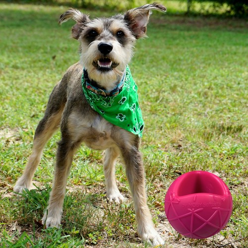 Moby Dog Ball Large - Pink