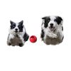 Moby Dog Ball Small - Red