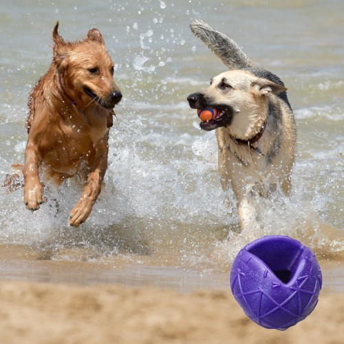 Moby Dog Ball Large - Violett 