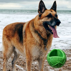 Moby Dog Ball Small - Green