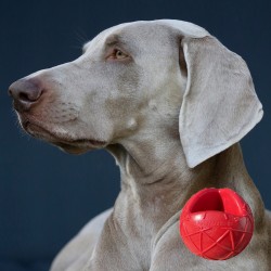 Moby Dog Ball Small - Red