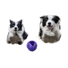 Moby Dog Ball Large - Violett