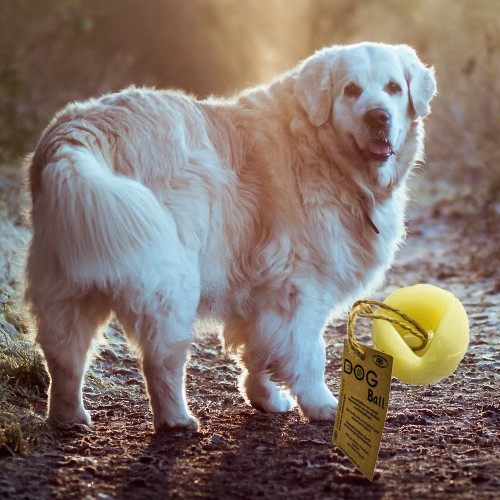 Moby Selbstleuchtend Hunde Ball Groß - OHNE UV Lampe